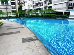 Forestville (D25), Condominium #558599571